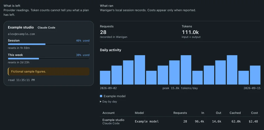 The Usage view: an example Claude Code account with session and weekly limits marked as fictional sample figures, beside requests, tokens and daily activity from local records.