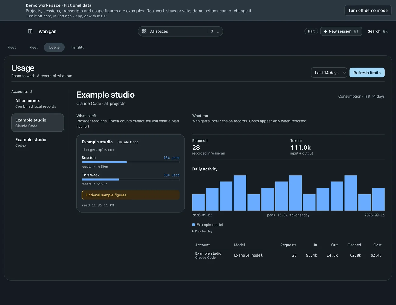The whole window: The Usage view: an example Claude Code account with session and weekly limits marked as fictional sample figures, beside requests, tokens and daily activity from local records.